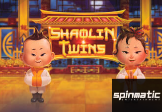 Shaolin Twins
